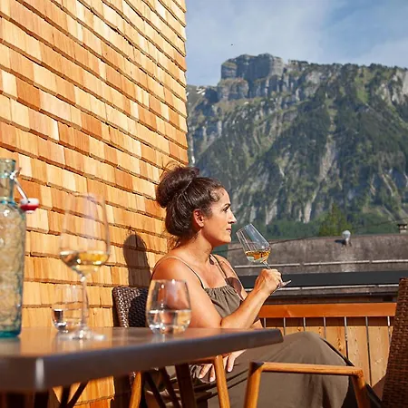 Appartement Alpin Aparts Mellau